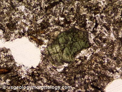 partially resorbed olivine in orendite; PPL thin section