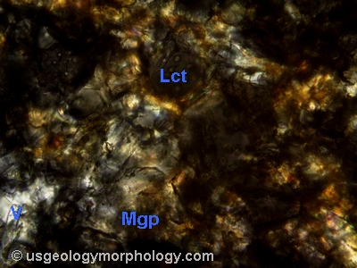 leucite and magnophorite in wyomingite; XPL thin section