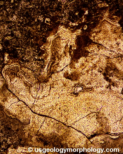 spherulite detail in wyomingite, Leucite Hills, Wyoming