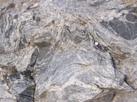 morton gneiss