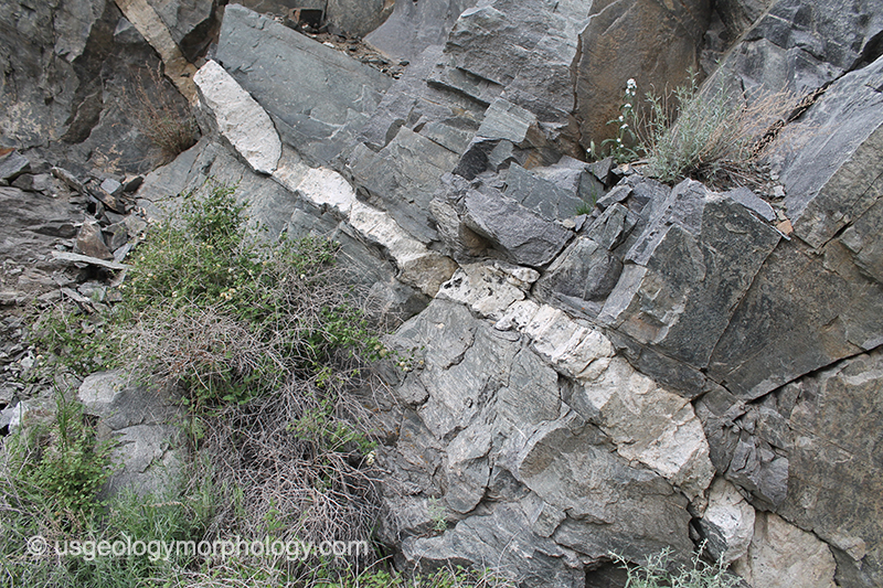 Pegmatite dike in amphibolite in the Wind River canyon, Wyoming