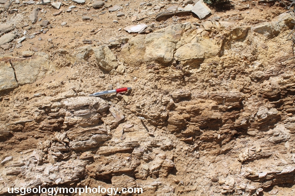 White Mountain, Wyoming; Sand Butte Bed sandstone; Green River formation Laney member