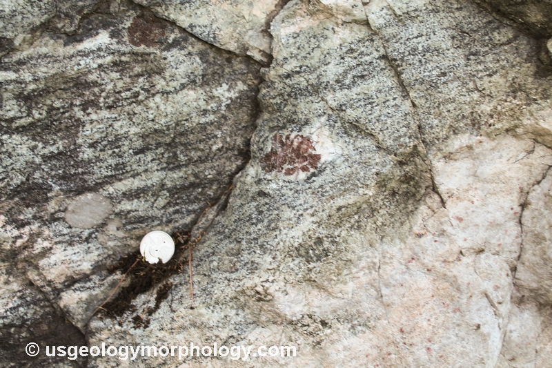 Deformed anorthositic-gabbroic gneiss, Adirondacks, New York