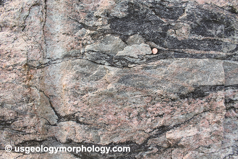 Popple Hill gneiss leucosome, Adirondack Lowlands, New York
