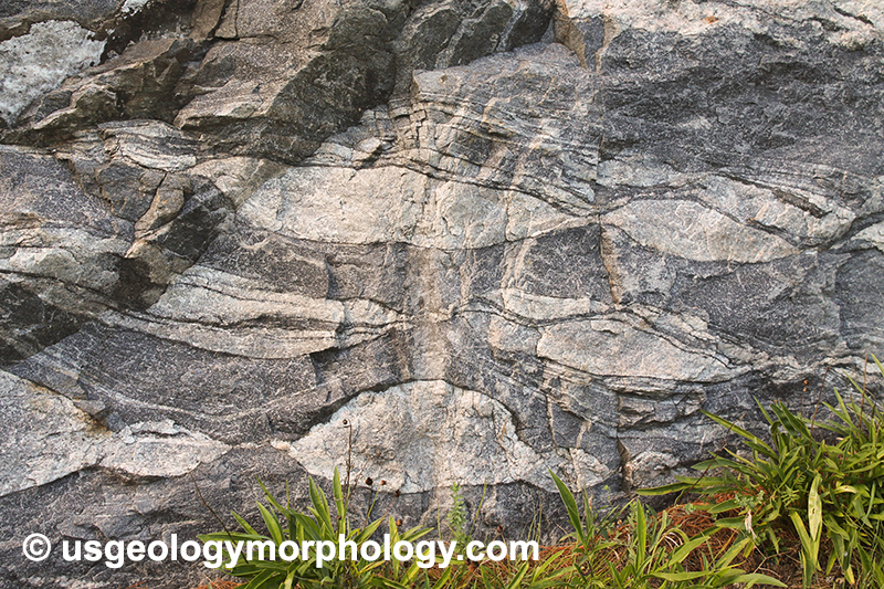 Boudinaged leucosomes in Popple Hill gneiss, Adirondack Lowlands, New York