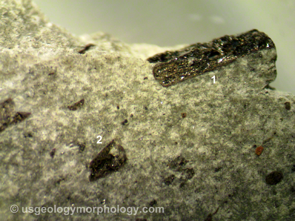 microphotograph of hornblende andesite hand sample