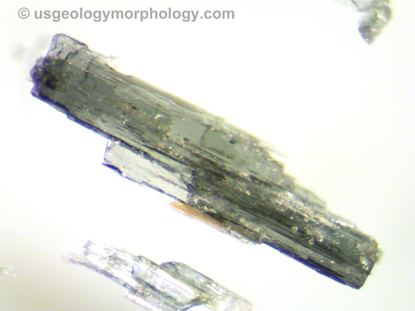 hornblende crystals  hand sample microphotograph