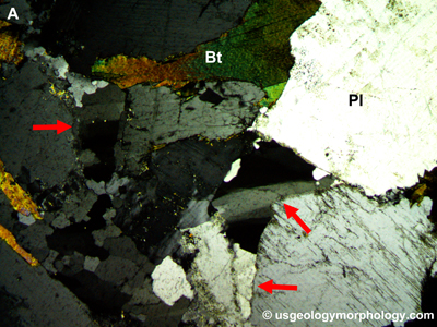 Quartz undulose extinction in Morton gneiss- thin section-XPL-cross-polarized light